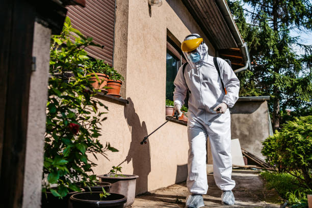 Best Best Pest Control Companies  in Topton, PA