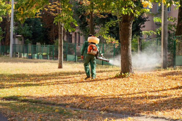 Best Wildlife Control Services  in Topton, PA