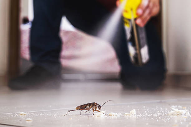 Trusted Topton, PA Pest Control Experts
