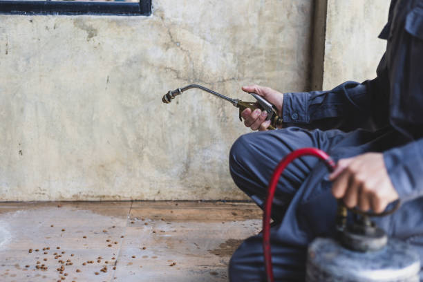 Best Mosquito Control Services  in Topton, PA